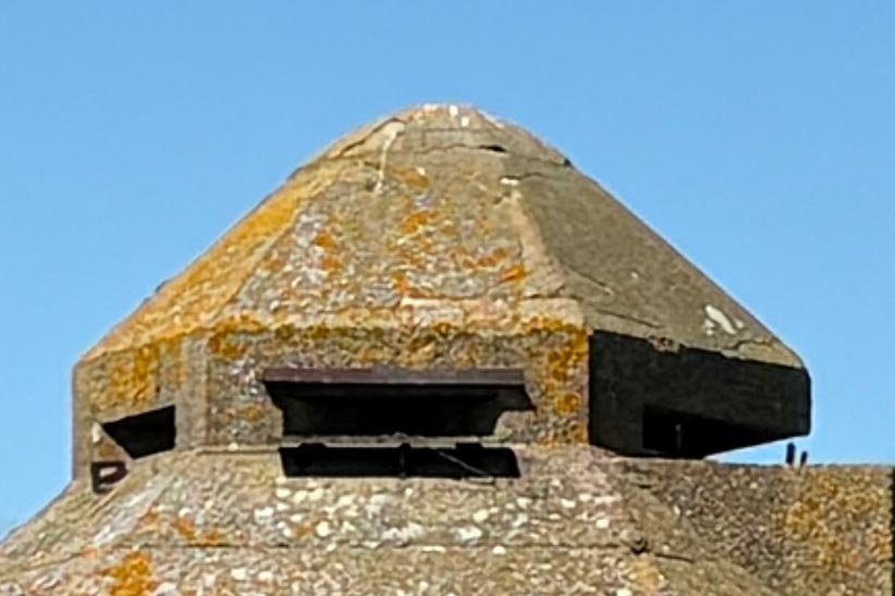 tower photo