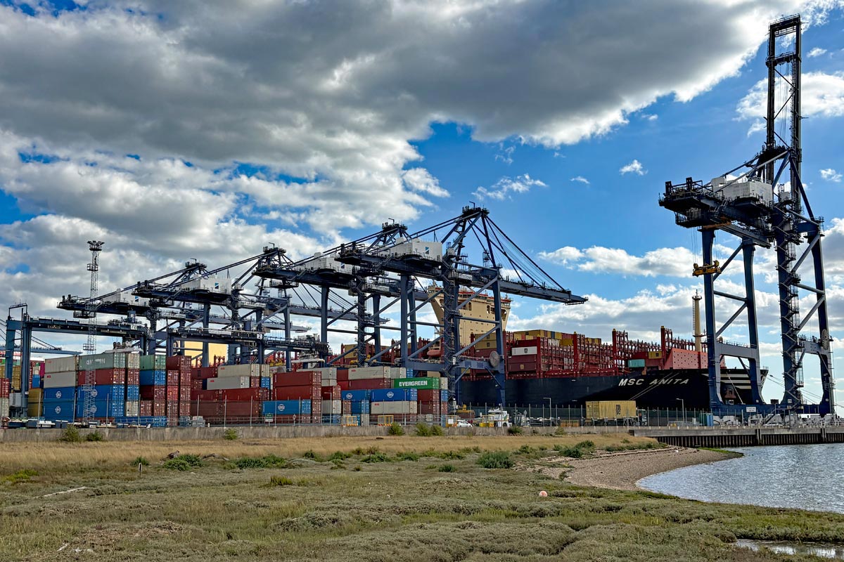 cranes